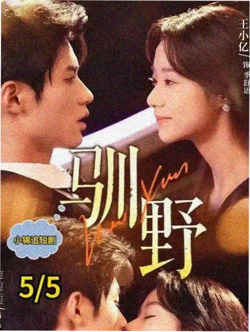 迅播影院官网都市悬疑剧暗涌之城海报